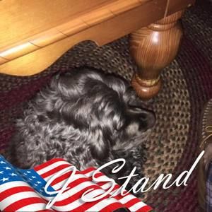 Meet your Posher, Valerie